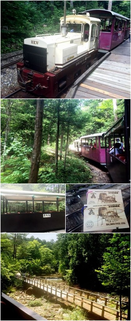 鉄道 『木曽森林鉄道』 プレス・アイゼンバーン 補足:木曽地形気候産業