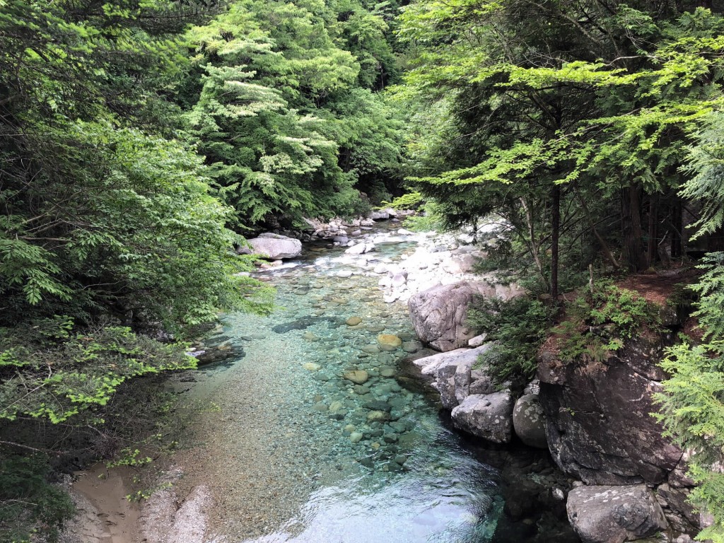 あやさんぽ ～どこか近場へ行きたい70☆阿寺渓谷（大桑村）～ | 是より