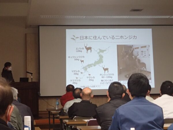 森林総合研究所関西支所の八代田さんからのシカについての講演