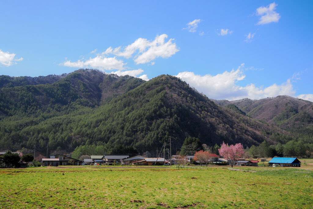 里山散歩とハート型の桜の木 | 是より木曽路