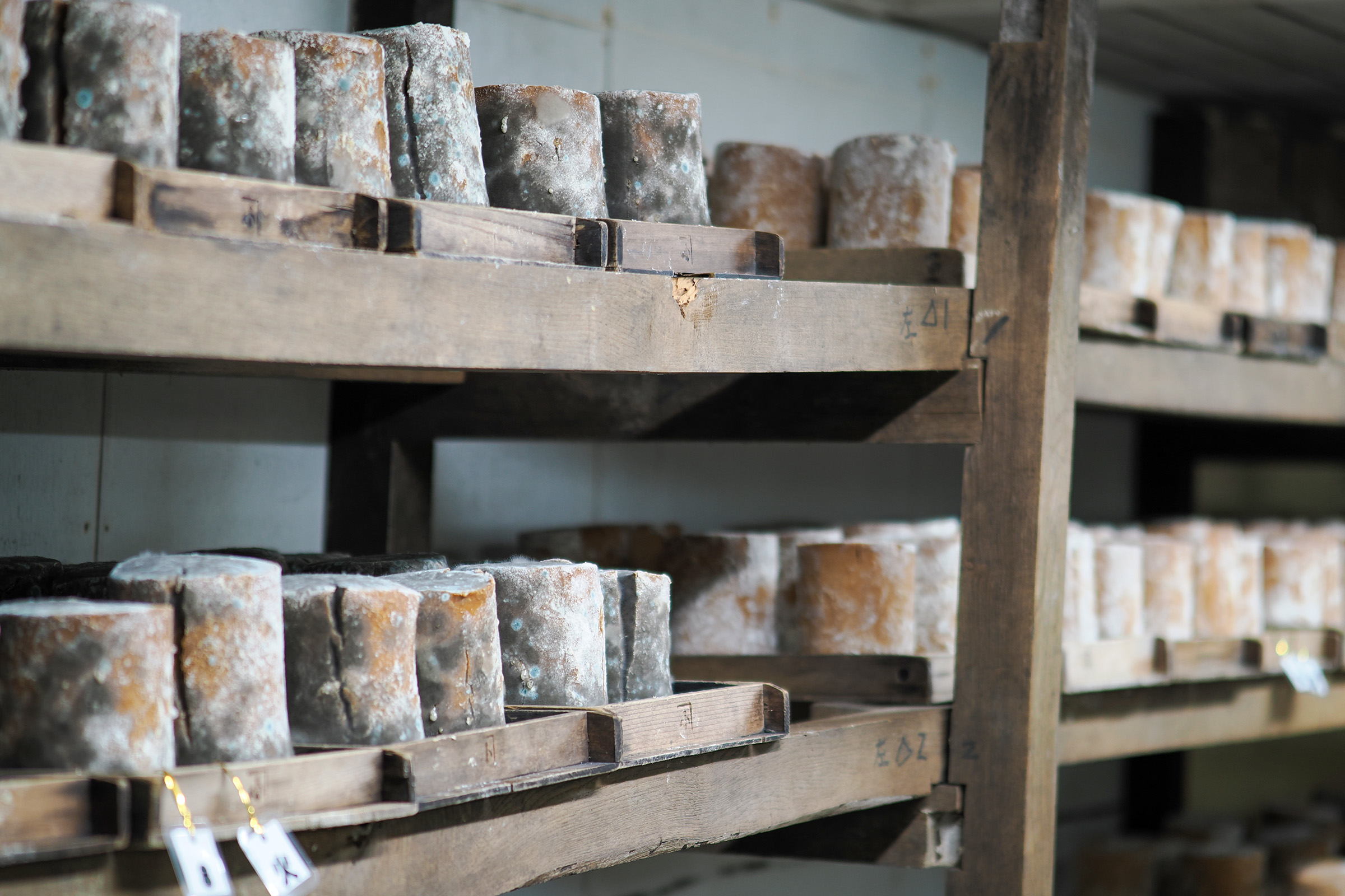 棚に並べられた味噌玉