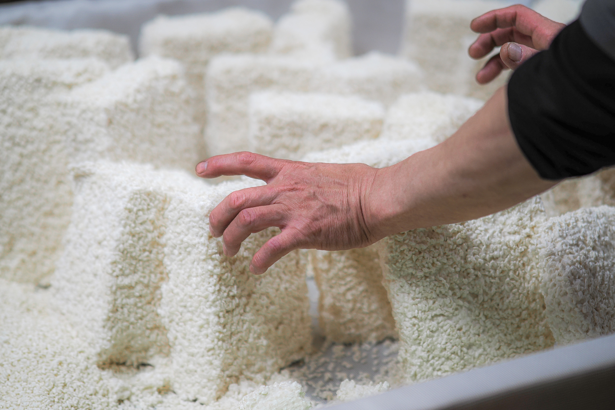 小池こうじ店の白い糀