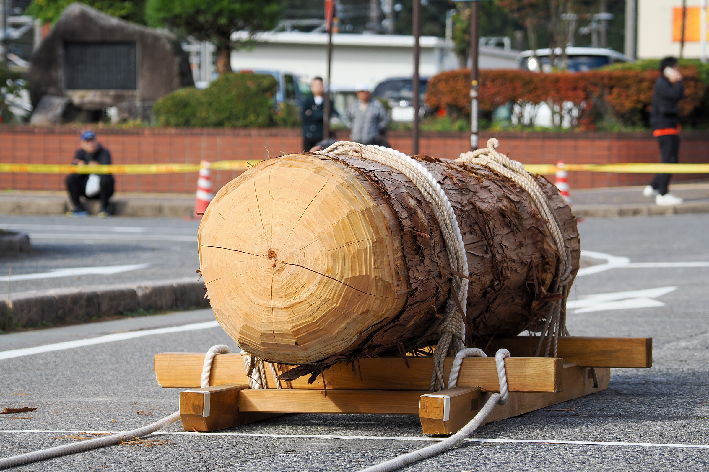 ごしんぼくさい仕様のヒノキの丸太