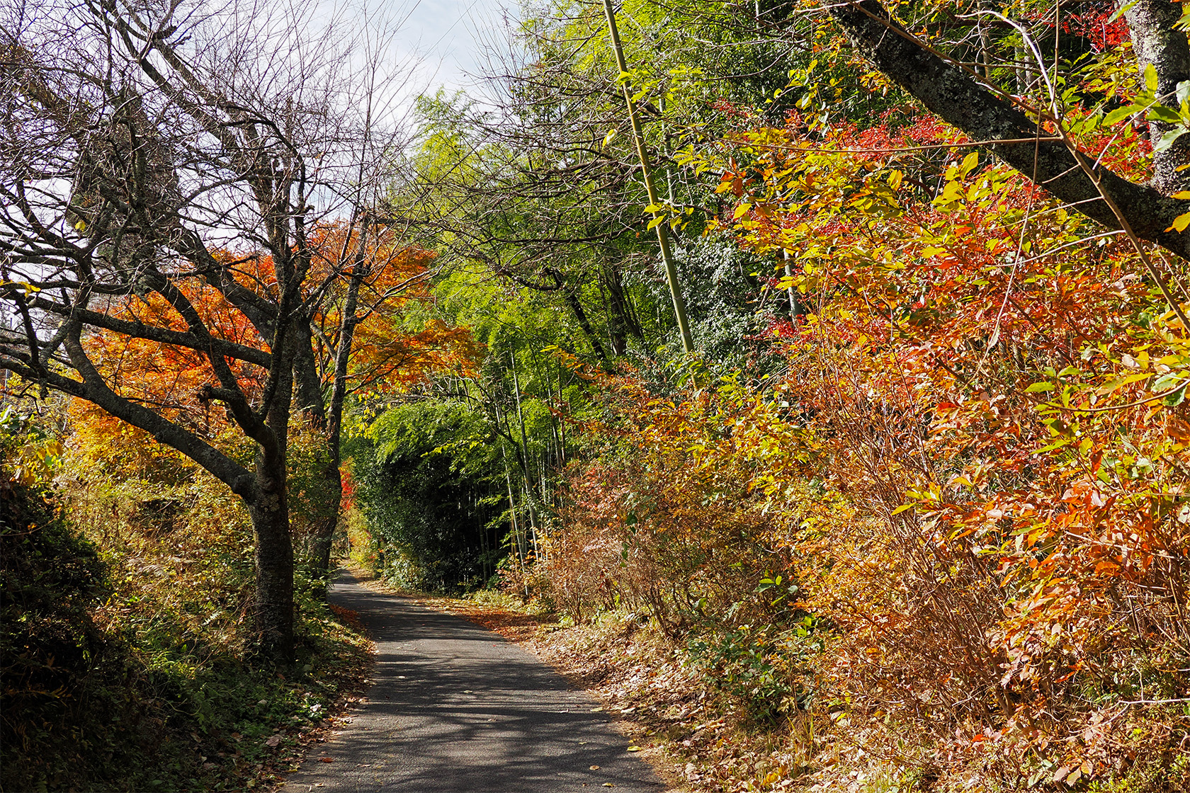 紅葉に彩られる中山道のハイキングロード