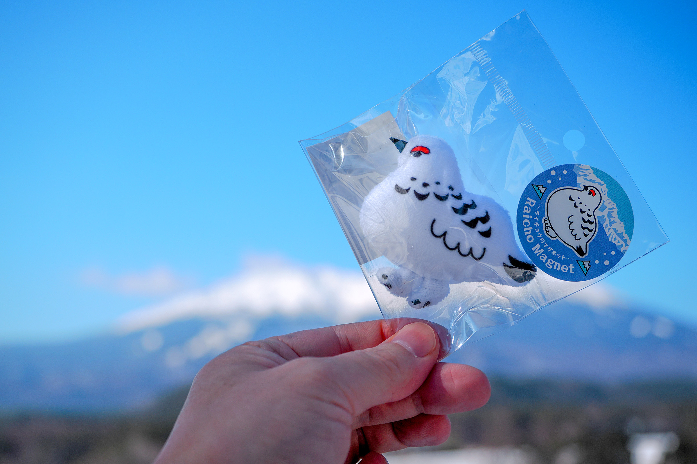 ライチョウのマグネット