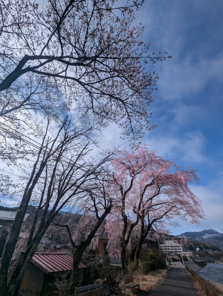 広絆橋2