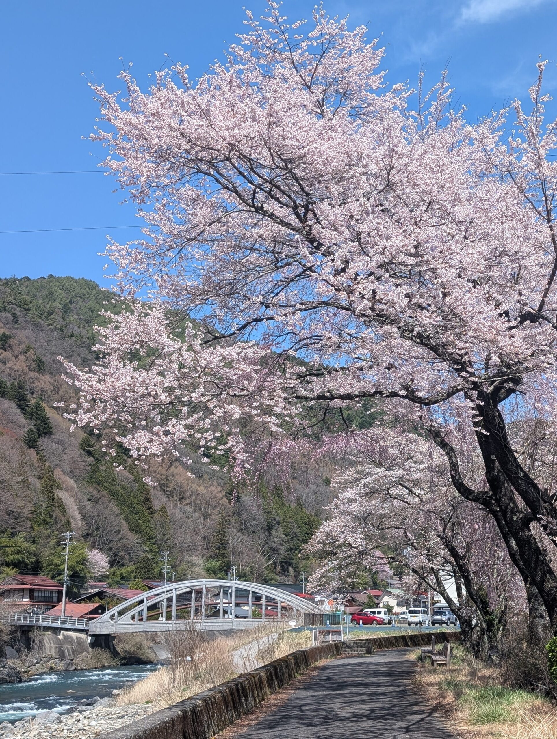 広絆橋1