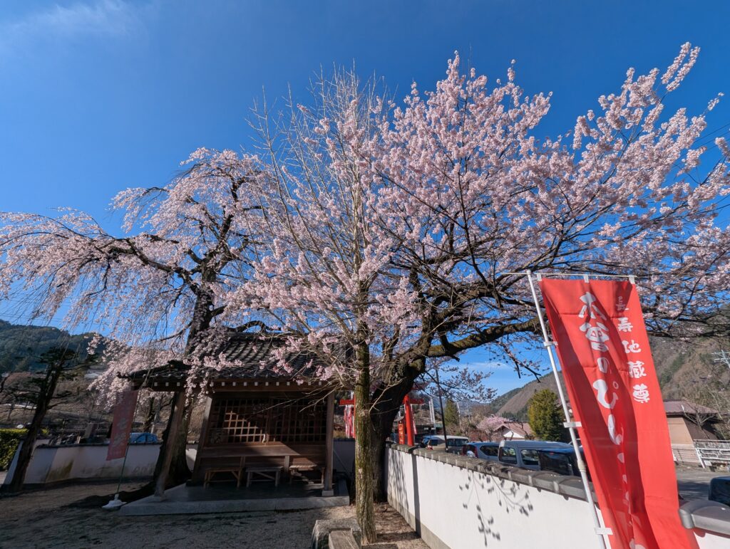 大通寺2