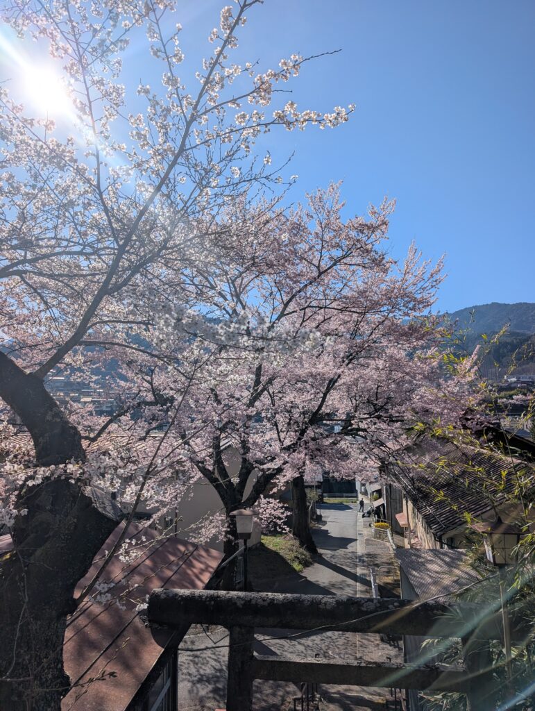 津嶋神社2
