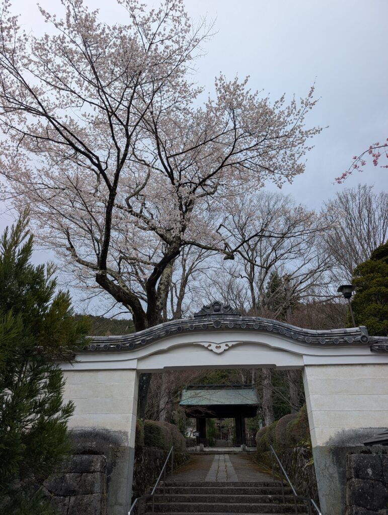興福寺2