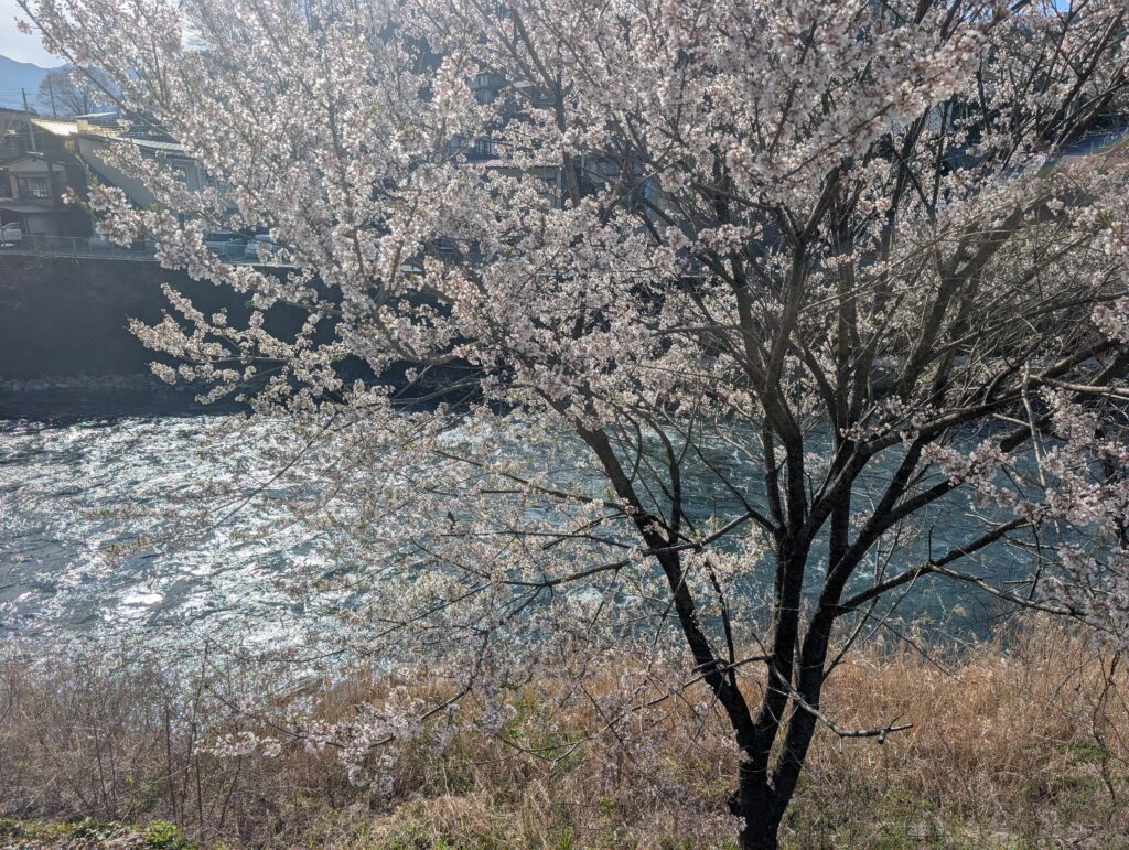 木曽川沿い