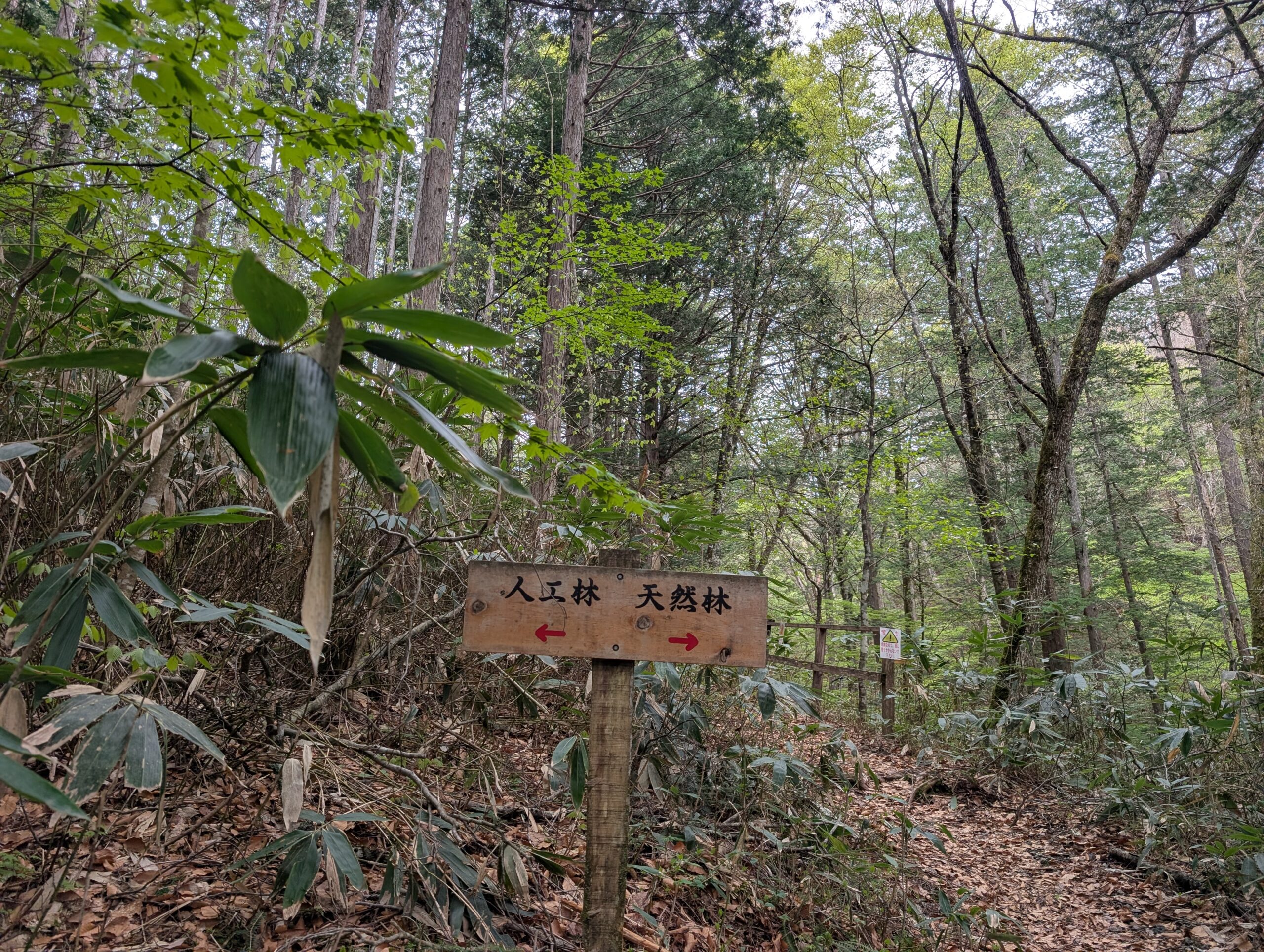 展望台へ