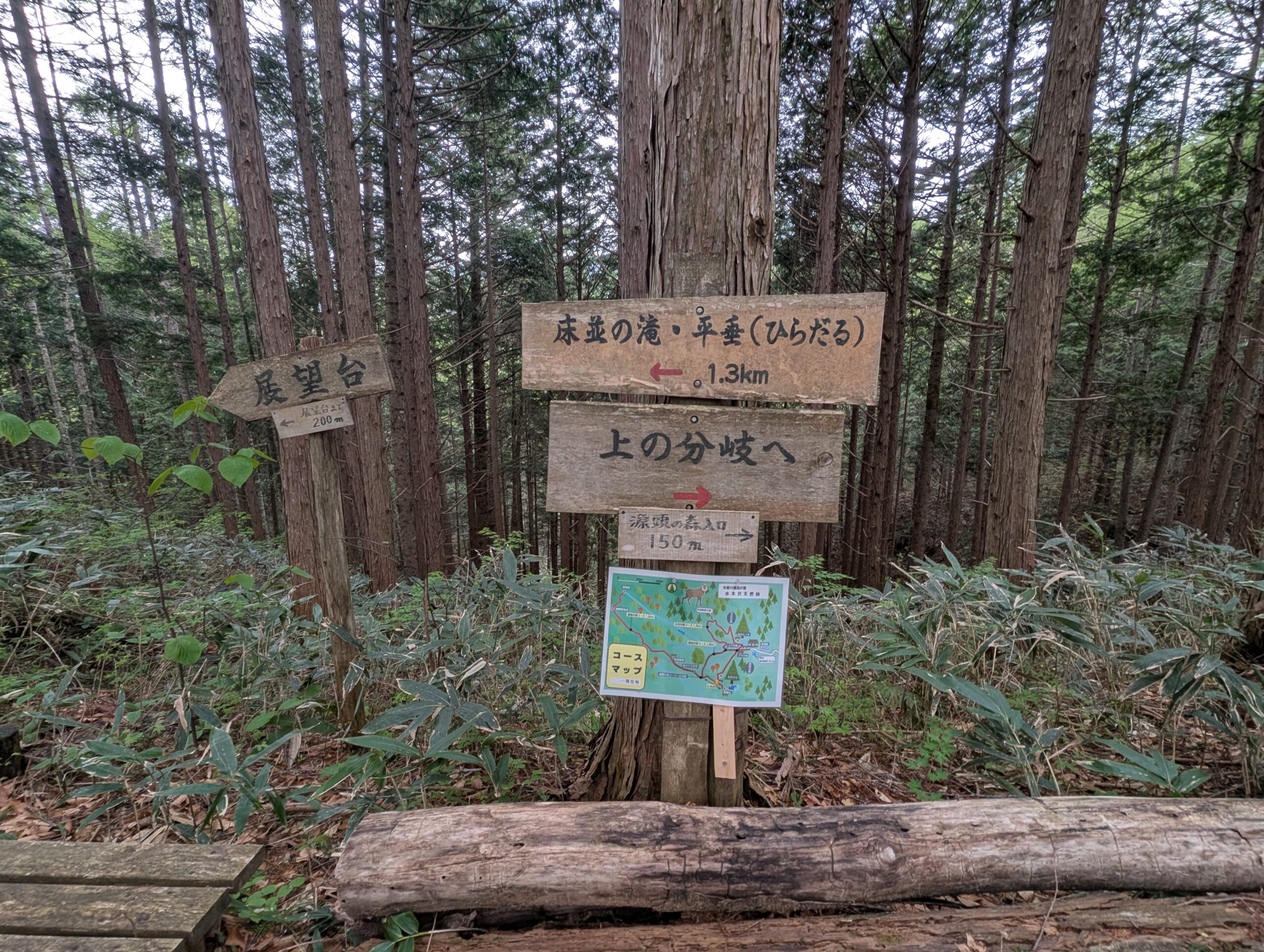 分岐
