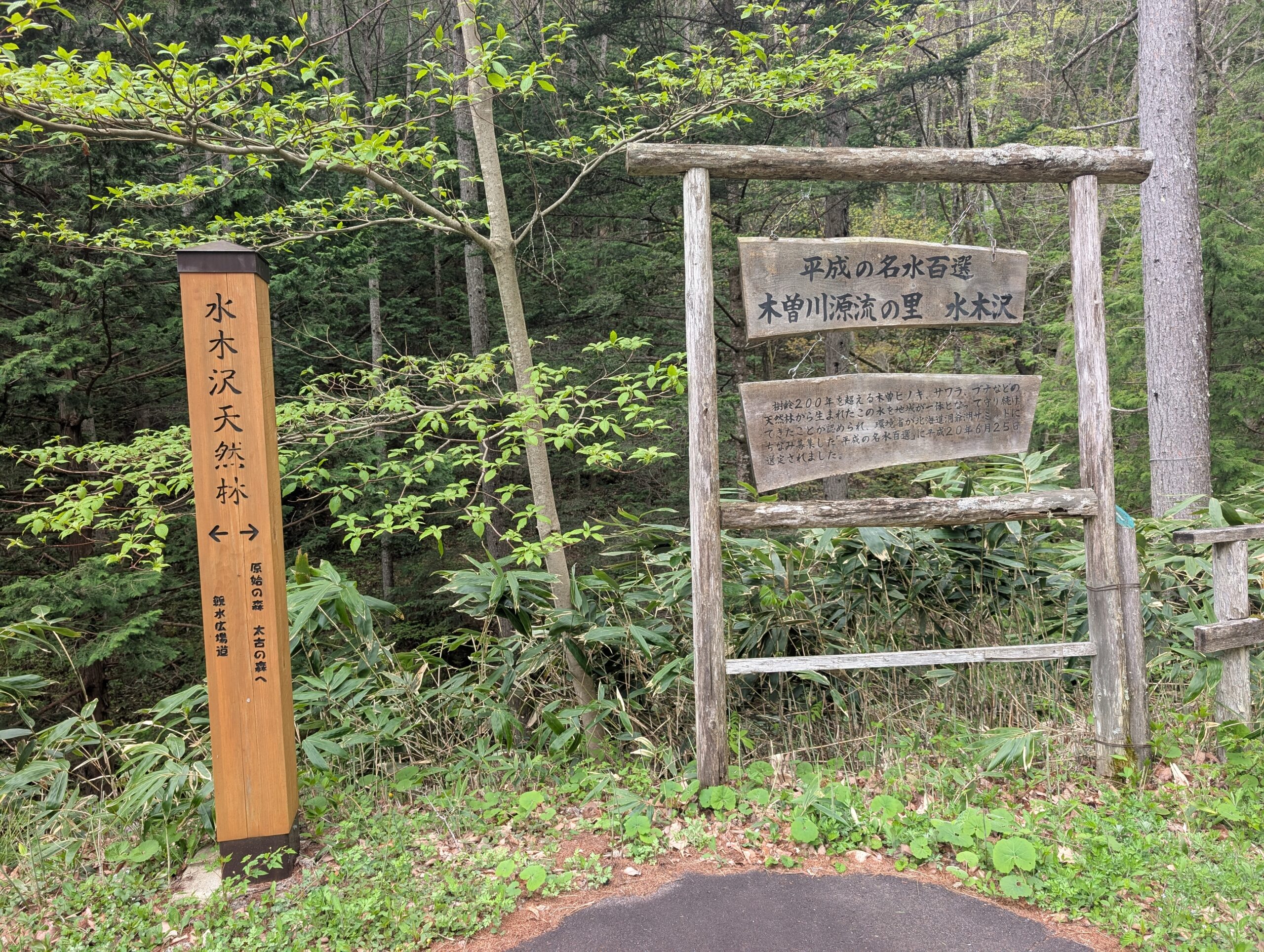 入口