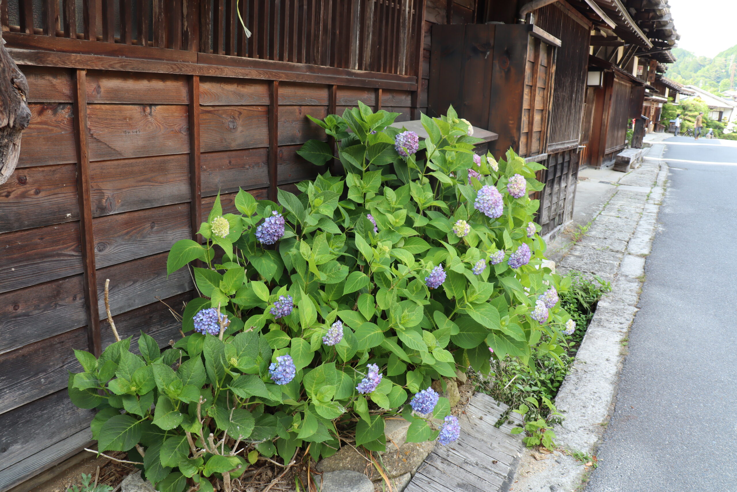 妻籠宿の風情のある町並み4