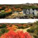 雲海と紅葉が綺麗！～インスタ映えの「御嶽山」