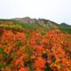紅葉の御嶽山へ