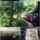 「赤沢森林鉄道」と「渓流プール」～木曽の夏休み（その１）