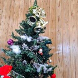 クリスマスツリー