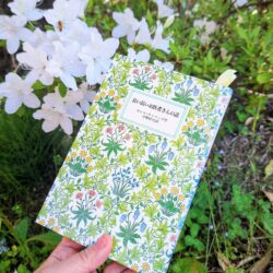 『長い長いお医者さんの話』