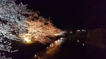 松本城さくら６