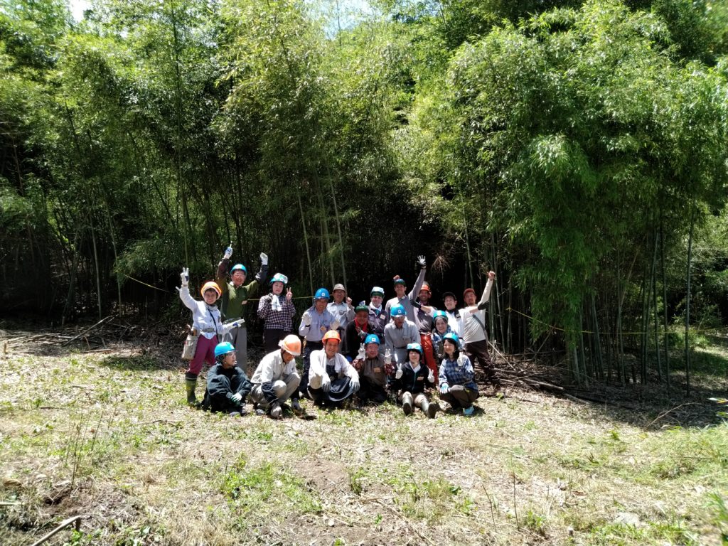 竹林は、やっかいもの？それとも・・・ | 来て！観て！松本『彩』発見