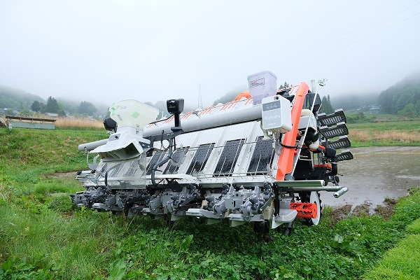 82c1ecede5e19674a768ad8c348c4d