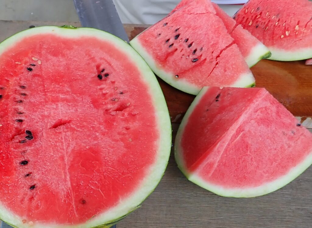 スイカ 新品種ナノシードすいか タネまで美味しい「ぷちっと」千葉県産 1玉