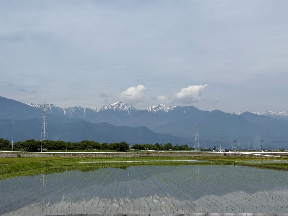 毎年恒例の「水稲奨励品種決定ほ」の田植えを行いました！ | 来て！観