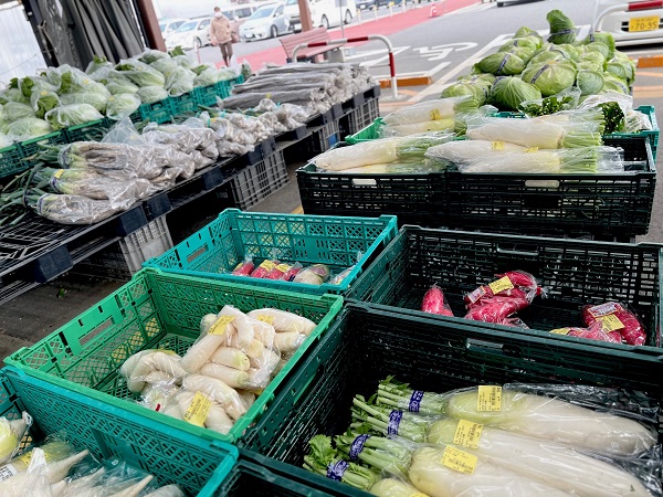 まつもと直売所通信」11月21日号～甘くて粘り気のある長芋の季節