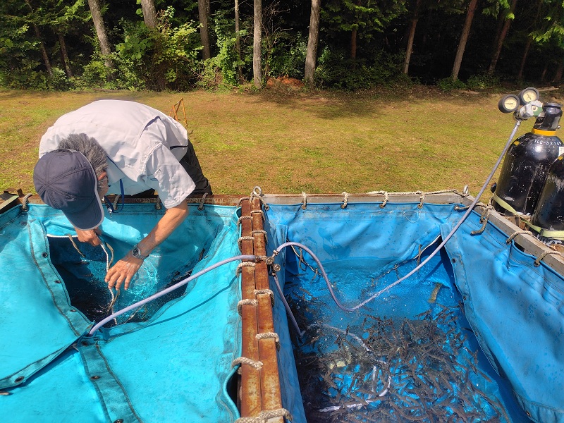 丁寧に蓋をされ、大切に運ばれます。