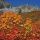１度は行きたい！天上の紅葉絶景🍁上高地・涸沢の秋