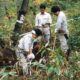 杭を残して悔いの残らない仕事を～酸性雨のモニタリング調査を実施しました～