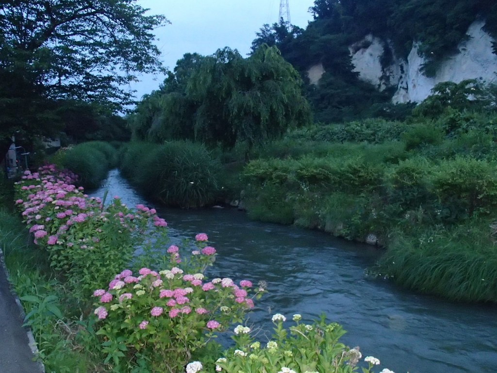 ほたるページ Amazon | スケッチャーズ スリップインズ シーガー - ビリーブ イット_