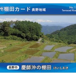 生坂村で「ぶどうカード」第2弾ができました | 来て！観て！松本『彩