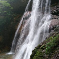 横川の蛇石（蛇の石、龍の滝） | 自然と遊ぼう！ネイチャーツアー