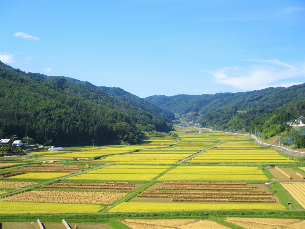信 更 町