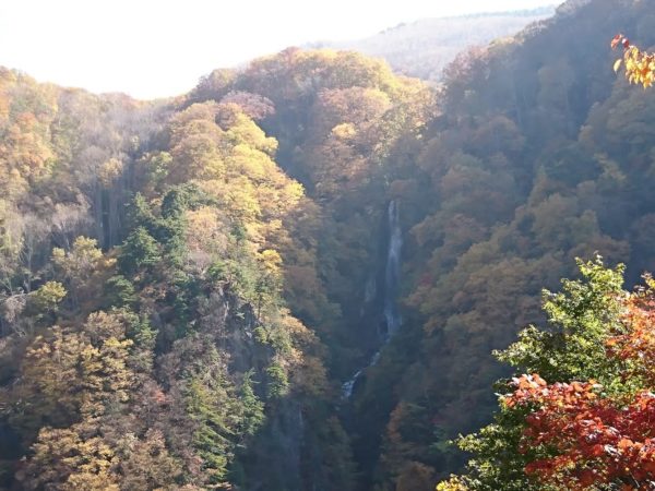 おいでよ 長野に 高山村で紅葉 温泉でアンチエイジング ほっとスタッフブログながの