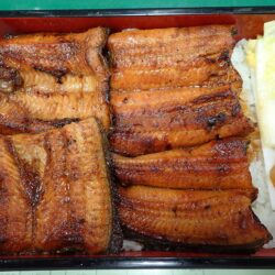 伊那市駅周辺でランチ い な 上伊那