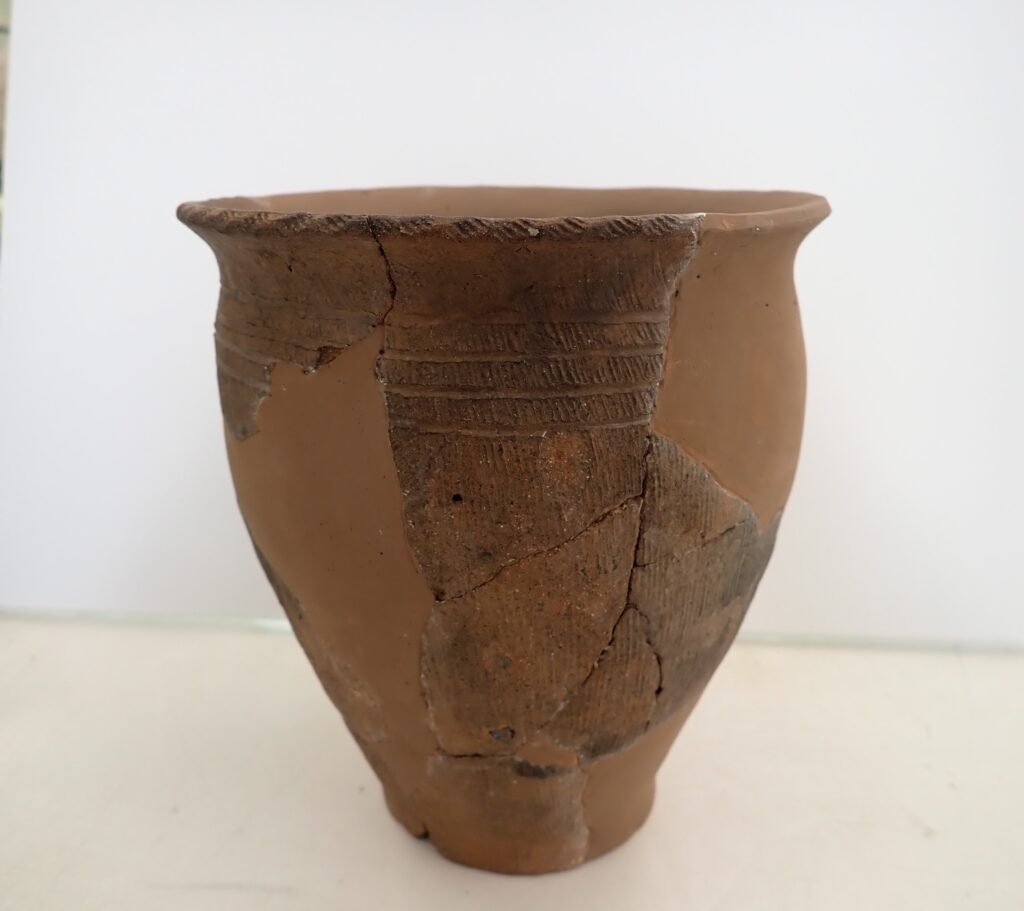 長野市]弥生時代前期の土器が、塩崎遺跡群から大量に出土のニュース