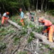 林業と障害者就労（福祉）の「林福連携」で里山が蘇る