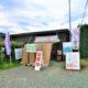 【長野市】旬の果物を食べよう!!松代のブドウをご紹介【ながの再発見】