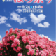 【坂城町】６月８日（日曜日）まで第20回ばら祭り開催中です！！