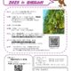 ワイン用ぶどうの収穫作業ボランティアに参加しませんか？（信州高山村）