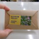 【長野合庁】たくさん採れました！緑のカーテンの種をおすそ分けします🌱