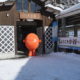 旬ちゃんが「旬」を求めて…