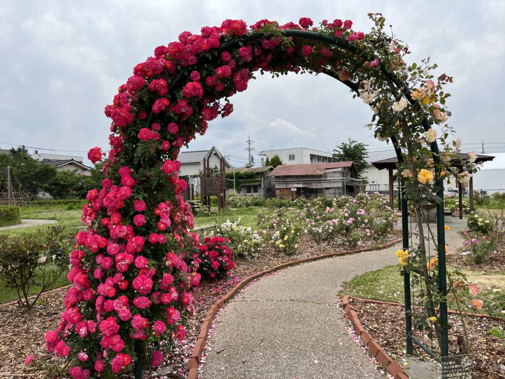 佐久市野沢 ぴんころ地蔵近く バラが咲く原公園 | 「旬」の宅配便
