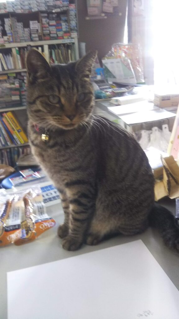 店長にゃんです | 「旬」の宅配便～佐久っと通信～