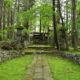 【純和風！苔の禅寺】佐久市・貞祥寺とあじさい（2020年6月）