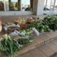 長野県農村生活マイスター・南佐久地域の女性農業者の皆様から野菜の提供がありました